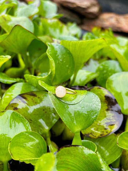 Ever & Ever Emily Ring